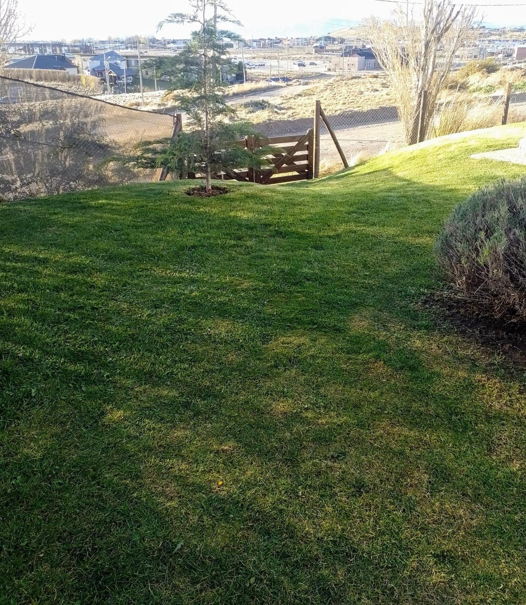 Cabana La Marilena, Para 2 Huespedes Con Desayuno El Calafate Eksteriør bilde